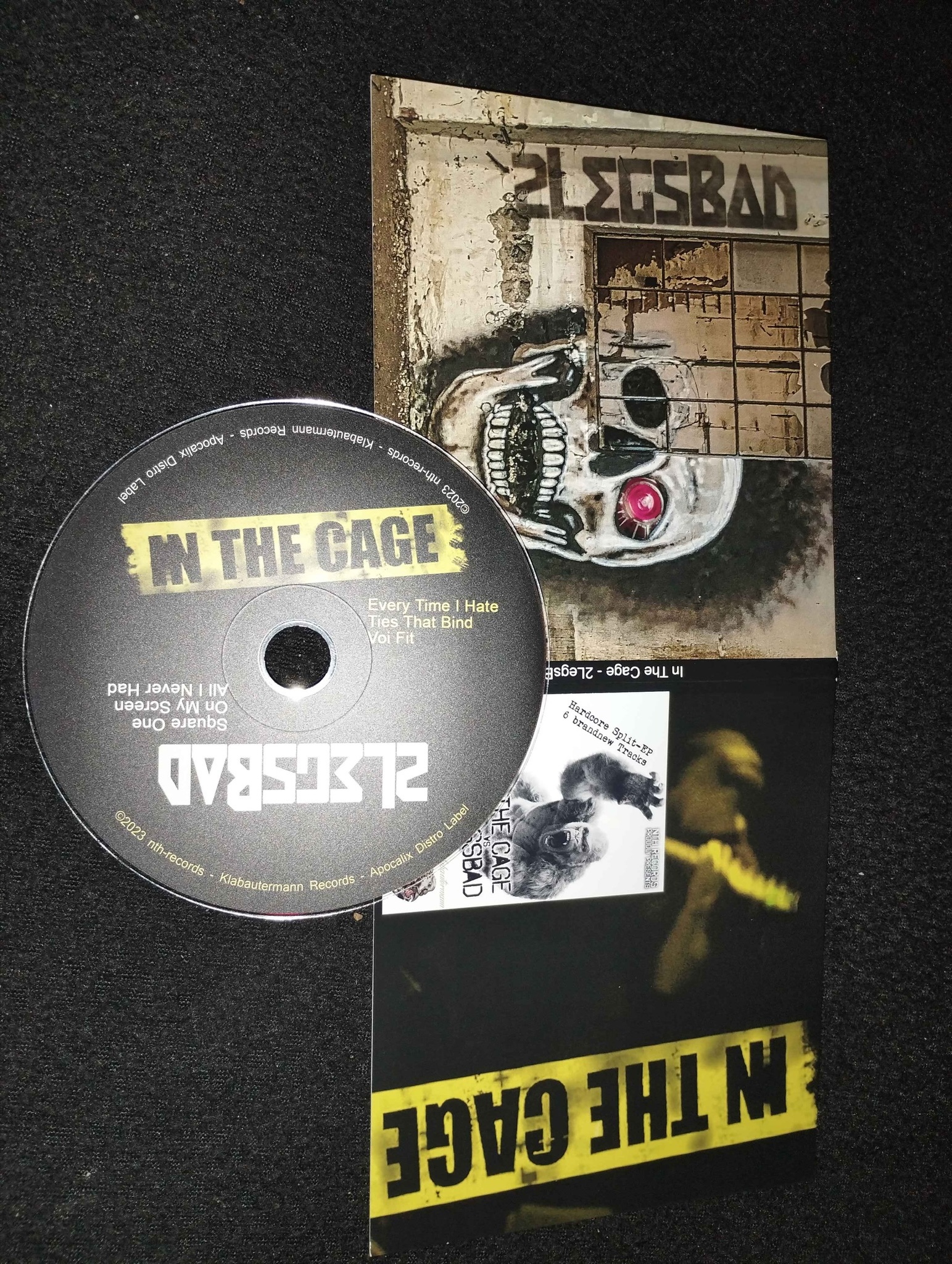 Flyer for Split Vinyl Album